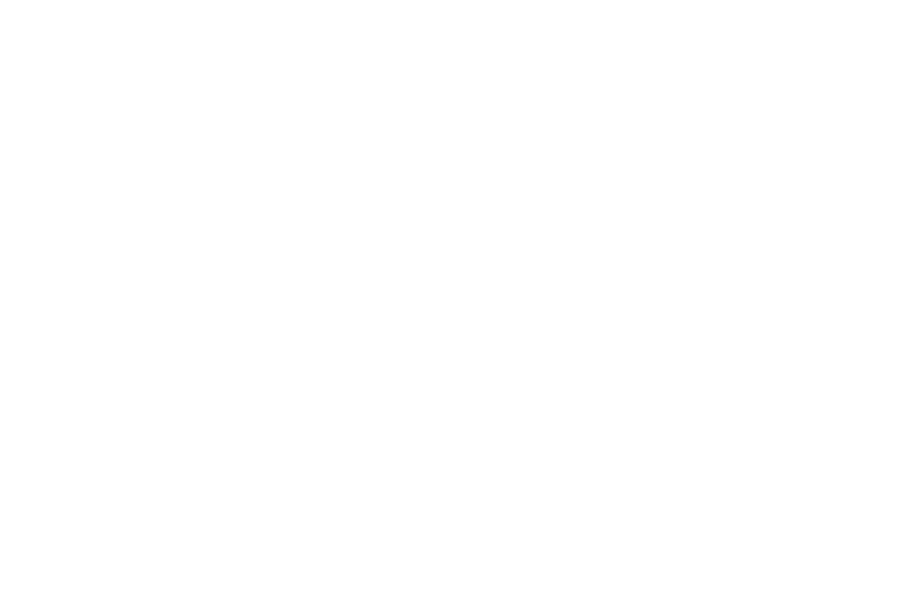 UKG Partner Badge